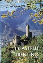 Guida dei castelli del Trentino