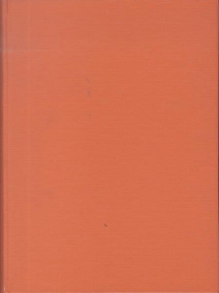 Isonzo 1917 - Mario Silvestri - copertina