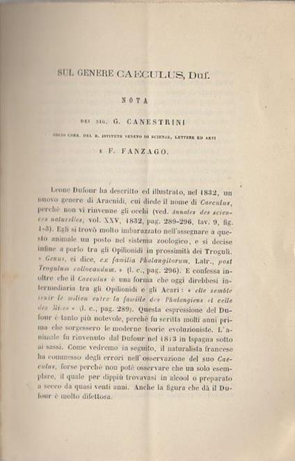 Sul genere Caeculus, duf.: nota - Giovanni Canestrini,Filippo Fanzago - copertina