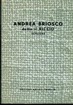 Andrea Briosco detto il Riccio: scultore. Collana artisti trentini