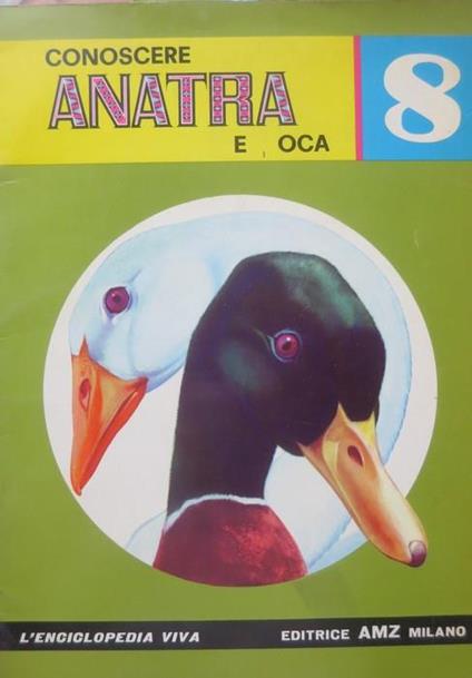 Conoscere anatra e oca - copertina