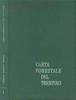 Carta forestale del Trentino: Fersina-Brenta-Cismon