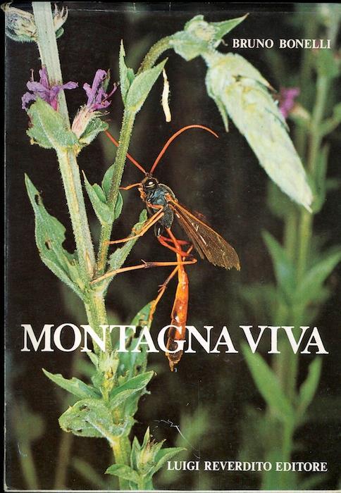 Montagna viva: il mondo degli insetti in Val di Fiemme (Trentino) - Bruno Bonelli - copertina