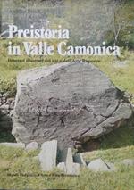 Preistoria in Valle Camonica: itinerari illustrati dei siti e dell’arte rupestre