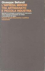 L' ’impresa minore tra artigianato e piccola industria: sentieri di sviluppo e politiche di intervento nelle imprese produttrici di infissi e serramenti di legno