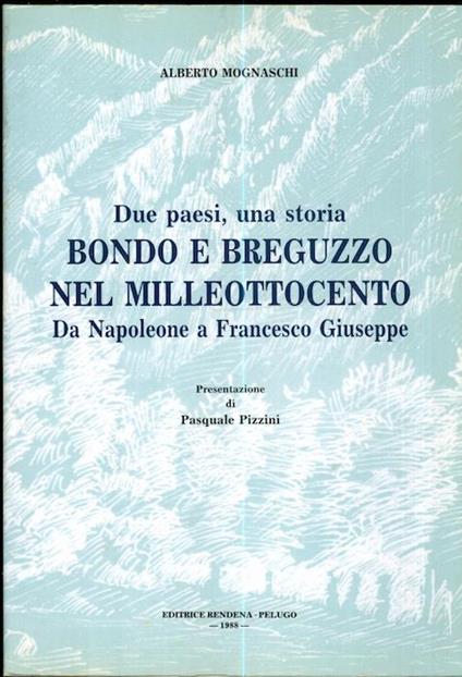 Due paesi, una storia: Bondo e Breguzzo nel milleottocento: da Napoleone a Francesco Giuseppe. Presentazione di Pasquale Pizzini - Alberto Mognaschi - copertina