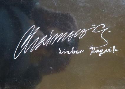 Lieber, Papa!. Ein Kind sieht den 2. Weltkrieg und schickt dem Vater Karten ins Gefängnis. Lebensspur Der Weg ins Weiß Eine Ausstellung in zwei Teilen - Georg Chiamowicz - copertina