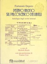 Pestavo anch’io sul palcoscenico dei ribelli: antologia degli scritti letterari