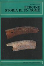 Pergine storia di un nome. In appendice breve relazione sul nome di Pegine di Francesco Sinatti