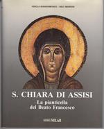 S. Chiara di Assisi: la pianticella del Beato Francesco