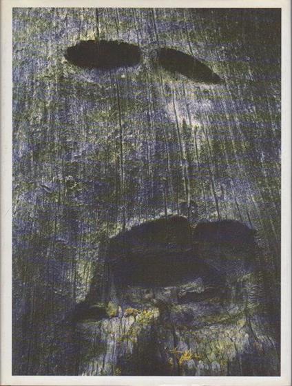 Legno. Arunda 38 - copertina