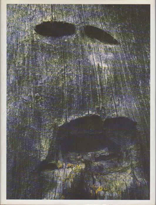 Legno. Arunda 38 - copertina