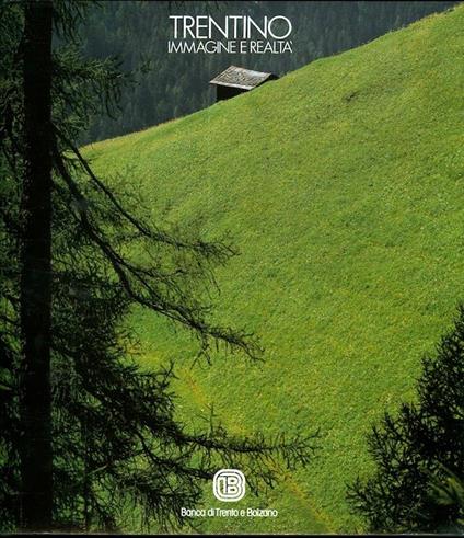 Trentino: immagine e realtà - Flavio Faganello - copertina