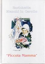 Il tuo volto, Signore, io cerco: (Salmo 26,8): vita di Enrichetta Bianchi Carollo ”Piccola mamma”