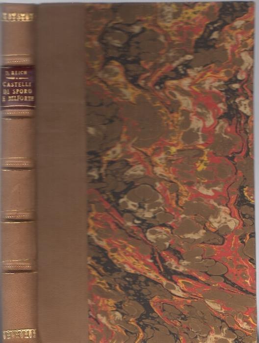 I castelli di Sporo e Belforte - Desiderio Reich - copertina