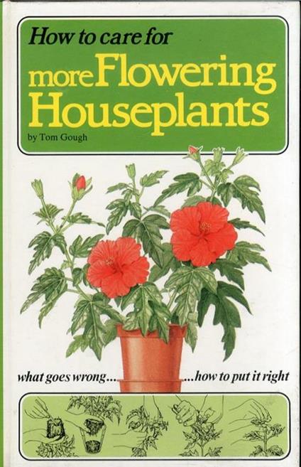 How to Care For More Flowering Houseplants - Tom Gough - copertina