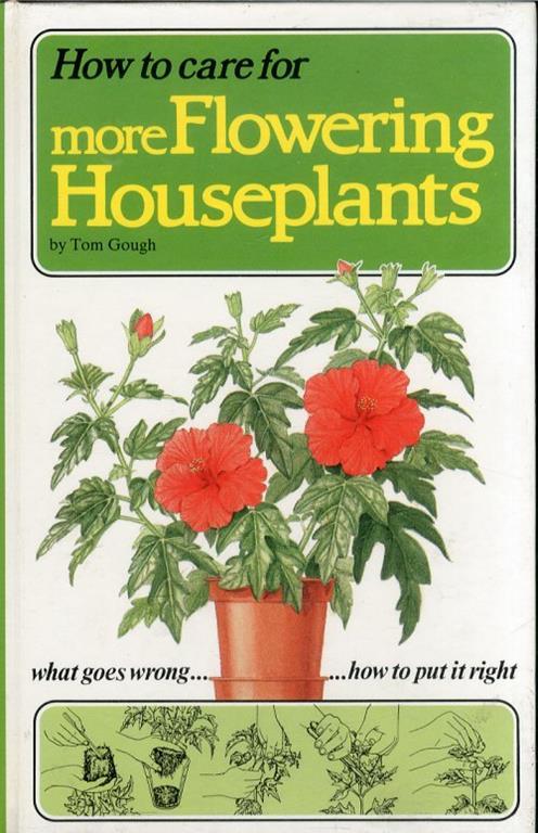 How to Care For More Flowering Houseplants - Tom Gough - copertina