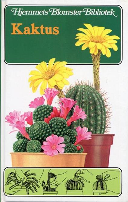 Kaktus - John Pilbeam - copertina