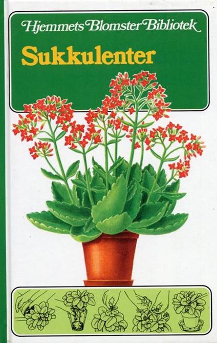 Sukkulenter - John Pilbeam - copertina