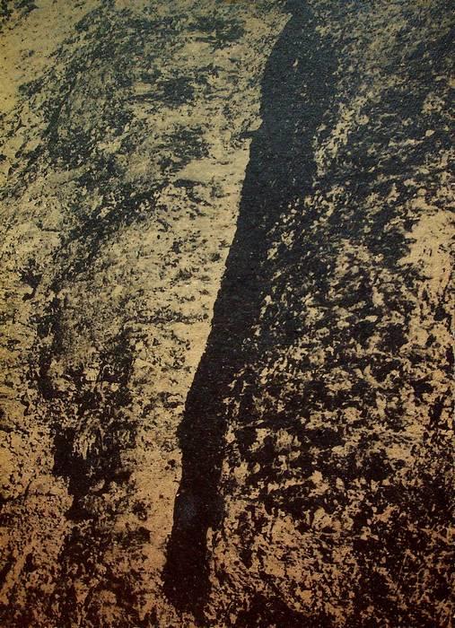 Studio Bibliografico Adige