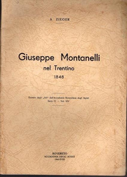 Giuseppe Montanelli nel Trentino nel 1848 - Antonio Zieger - copertina