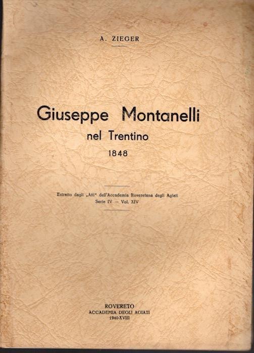 Giuseppe Montanelli nel Trentino nel 1848 - Antonio Zieger - copertina