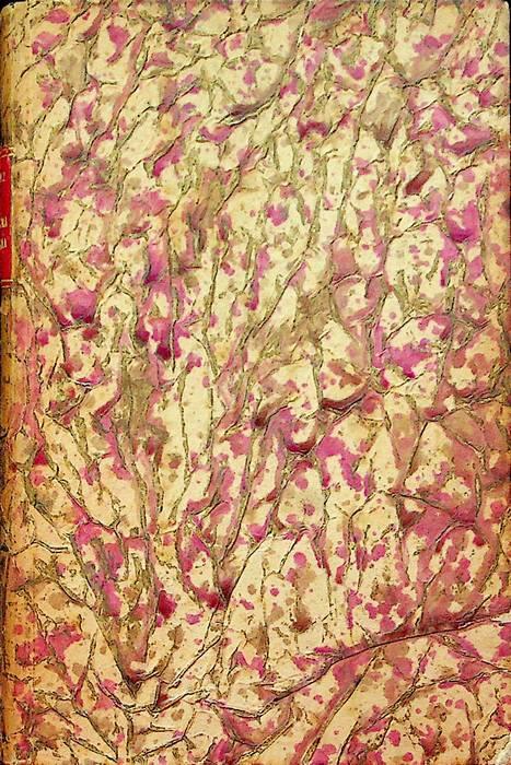 Studio Bibliografico Adige