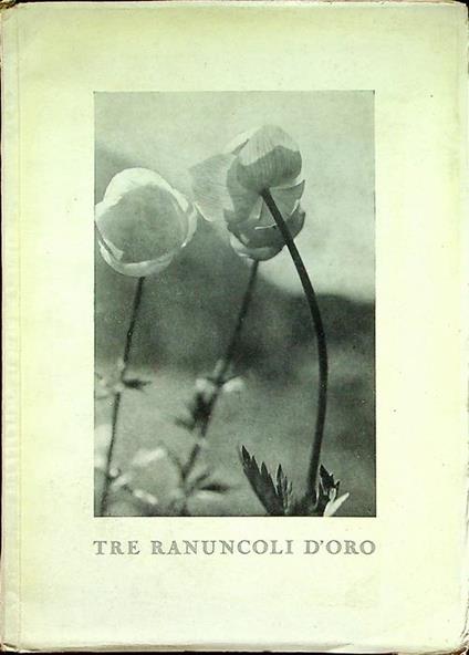Tre ranuncoli d’oro: Prima biennale internazionale fotografica della montagna Tre ranuncoli d’oro, CAI-SAT, Trento, 25 settembre-23 ottobre 1955 - copertina