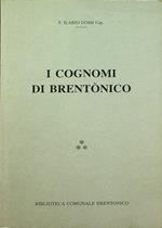 I cognomi di Brentonico