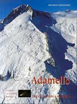 Adamello: storie di uomini e montagne. Le comete