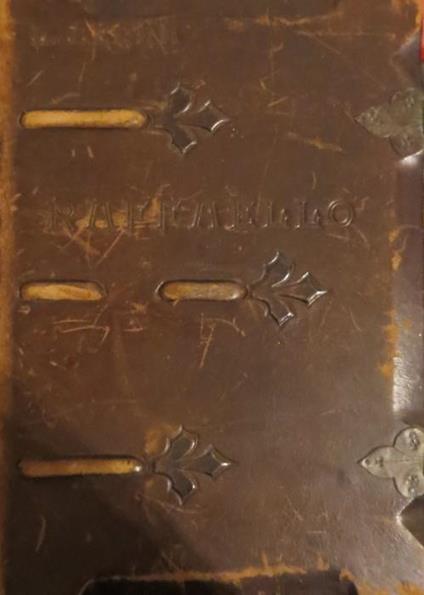 Raffaello - Luigi Serra - copertina