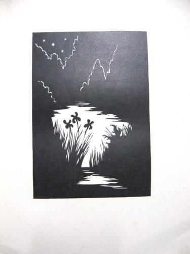 Himmelsvolk - Waldemar Bonsels - copertina