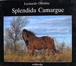Splendida Camargue