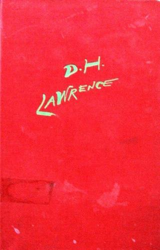 La volpe. La coccinella - David Herbert Lawrence - copertina