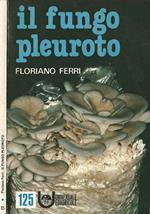 Il Fungo Pleuroto