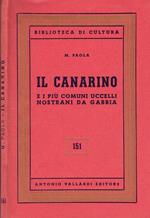 Il Canarino E I Più Comuni Uccelli Nostrani Da Gabbia