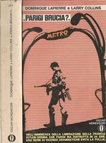 Parigi brucia?