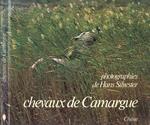 Chevaux de Camargue