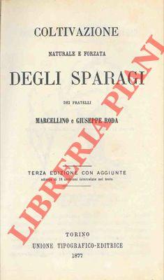 Libreria Piani