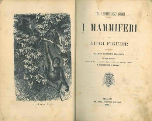 I mammiferi. Vita e costumi degli animali. Quarta edizione italiana - Luigi Figuier - copertina
