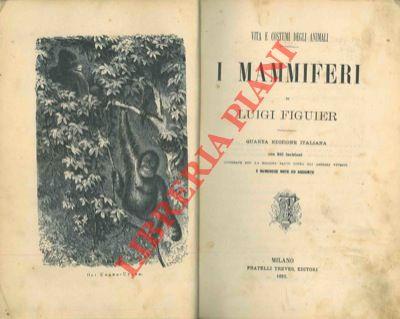 Libreria Piani