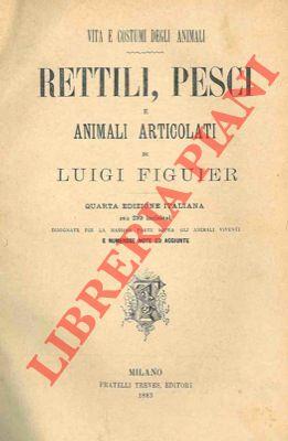 Libreria Piani