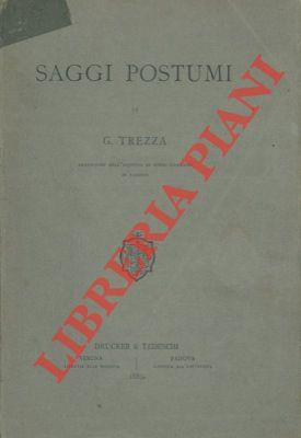 Libreria Piani