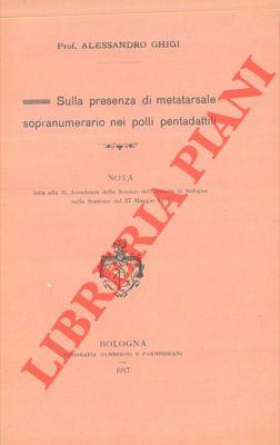 Libreria Piani