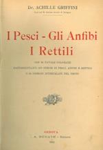 I pesci - Gli anfibi - I rettili