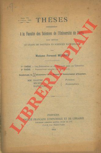 Libreria Piani