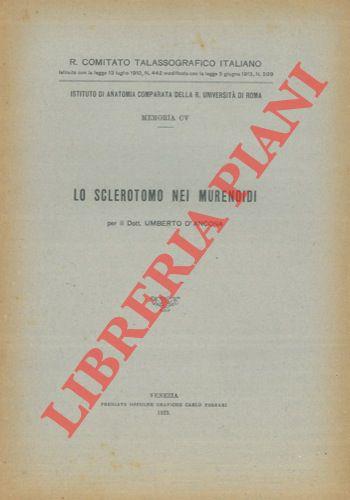 Libreria Piani
