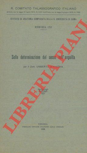 Libreria Piani