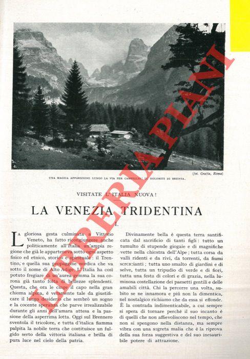 Libreria Piani