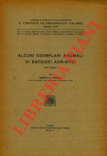 Libreria Piani